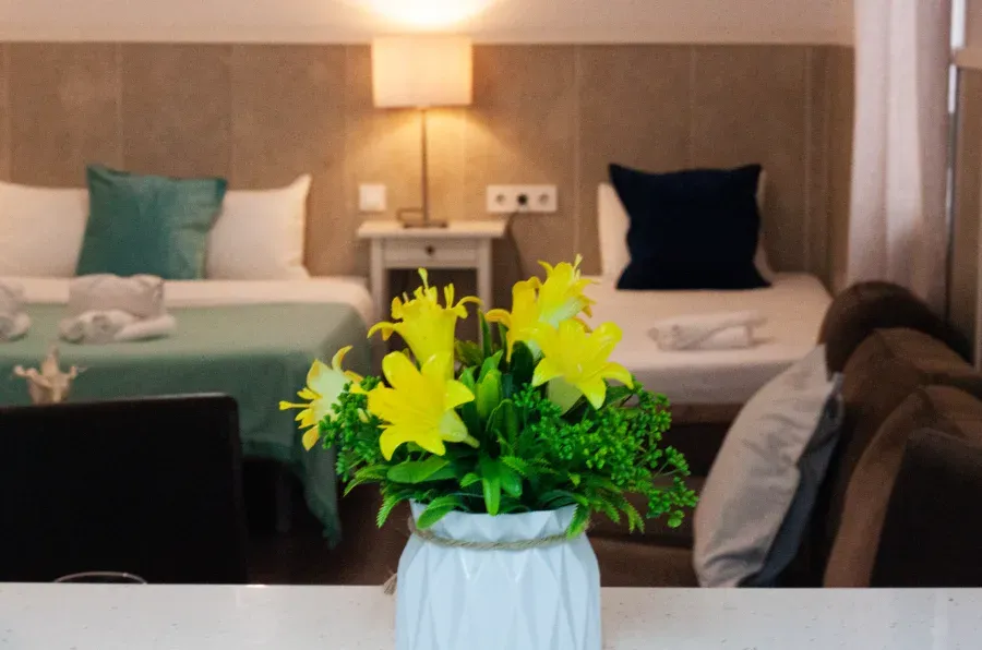 (014) Apartamento Plaza Central - Imatge 7
