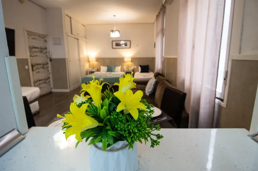 (014) Apartamento Plaza Central - Imatge 8